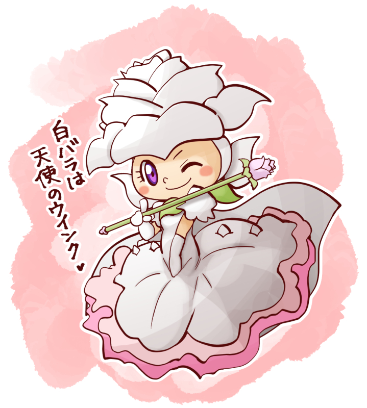 白バラは天使のウインク